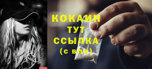 дурь Бронницы