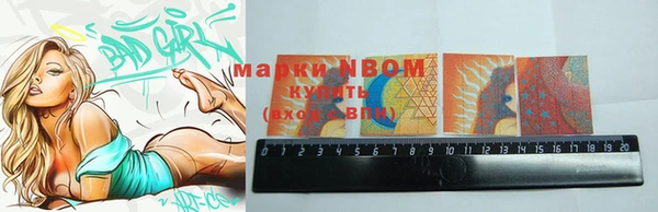 дурь Бронницы