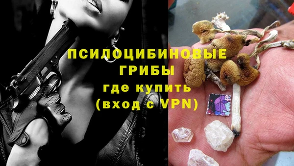 амф Бугульма